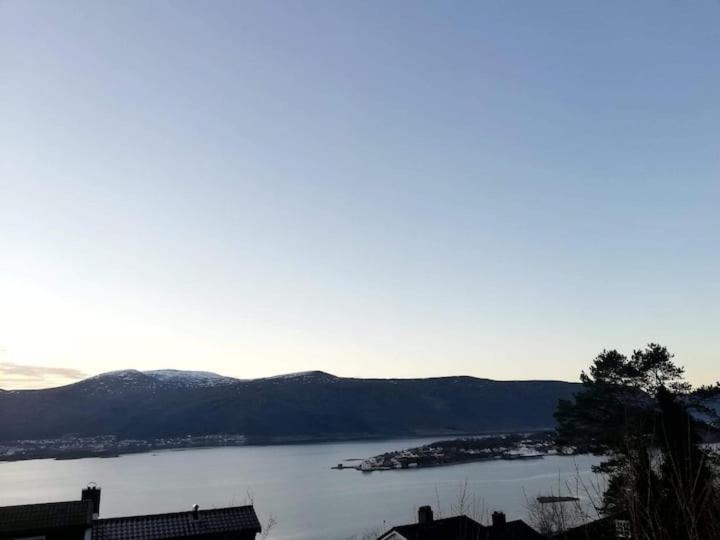 Cozy, Inspiring Apartment!!! Ålesund Esterno foto